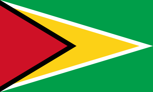 #{country.flagiso} Flag